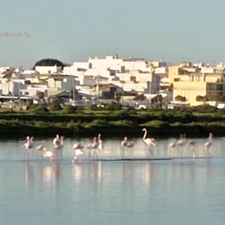 Casa Do Livramento Hotel Luz de Tavira Ngoại thất bức ảnh