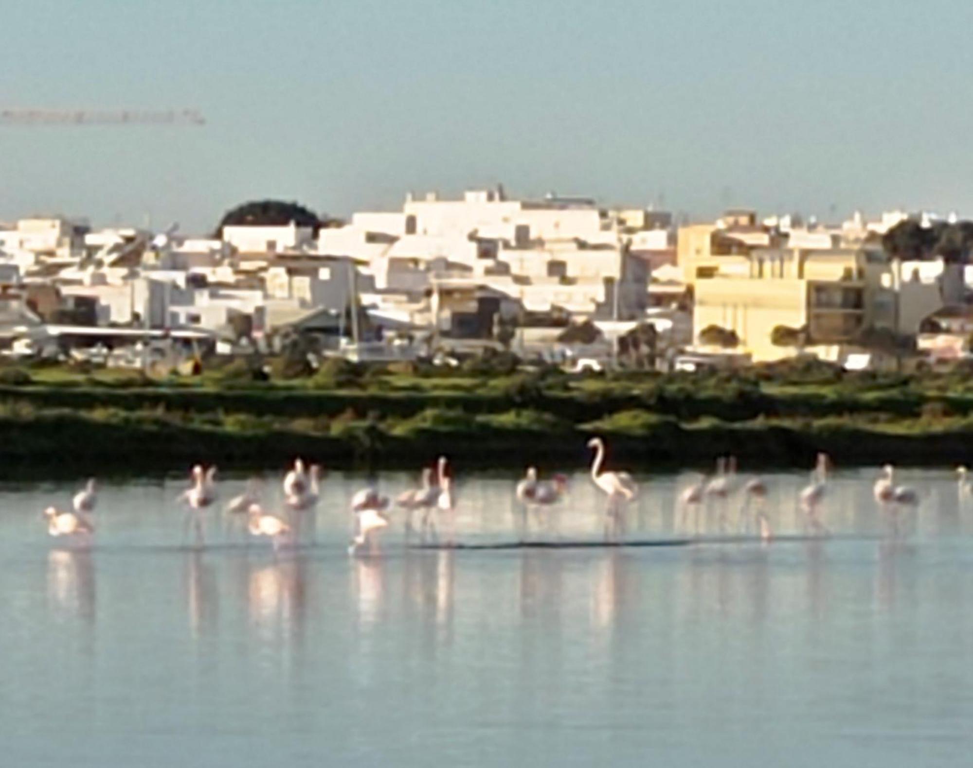 Casa Do Livramento Hotel Luz de Tavira Ngoại thất bức ảnh